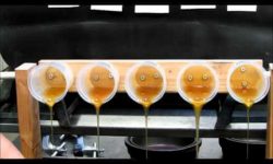 Understanding Oil Viscosity: The Thick and Thin of It