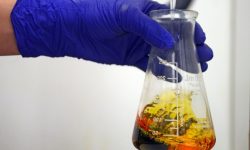 Gauging Acidity: Acid Number