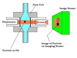 imagej particle counting