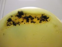 What causes sludge in machinery?