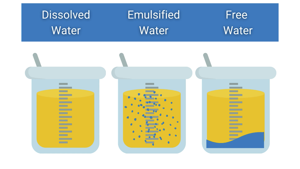 Types Of Water Contamination In