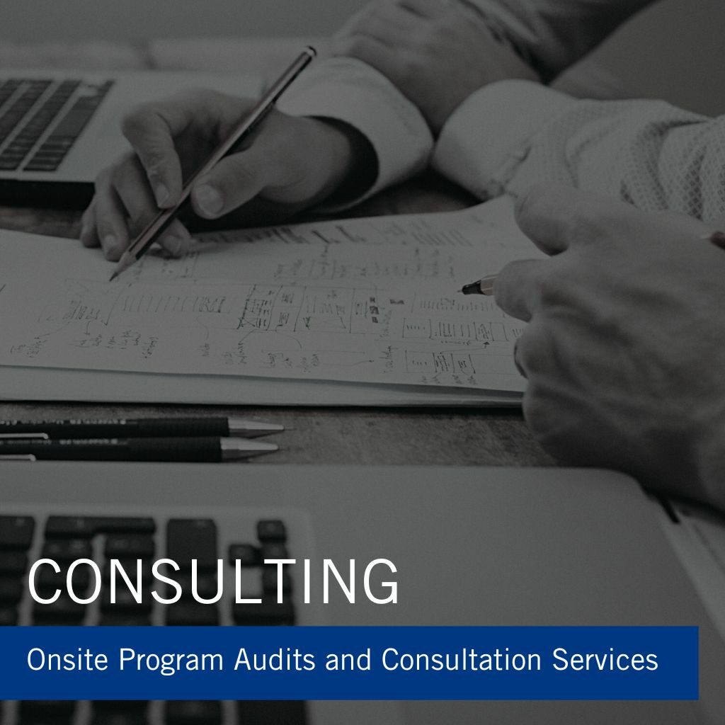 Consulting Service